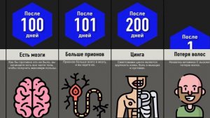 Что, Если Есть Только Человечину?