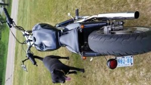 1996 Honda Shadow 1100 bobber