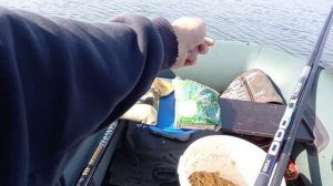 Ловля на поплавок!!! Рыбалка маховой удочкой с лодки осенью.Рыбалка осенью 2020.