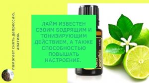 эфирное масло ЛАЙМ