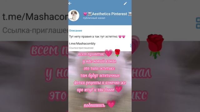 надеюсь то что будете активновчать