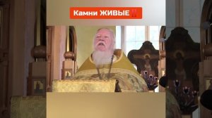 о. Димитрий Смирнов: КАМНИ ЖИВЫЕ !!!