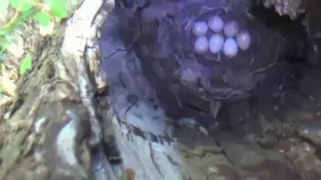 Заходи послушать! Сергей Одинцов! смотреть онлайн