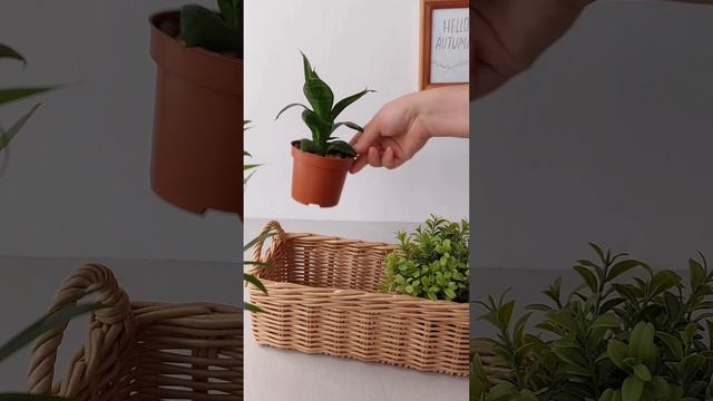 Корзина с ручками 🍃 
*Изготовление на заказ 
#корзинасручками#плетеноекашпо#плетеныйкороб#