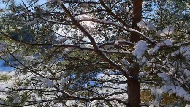 Зимняя прогулка, часть первая. Германия. смотреть онлайн