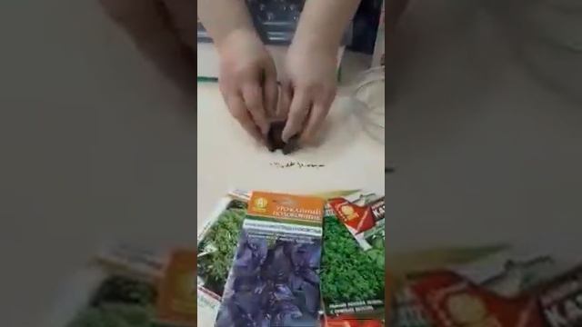 ДОМАШНЯЯ ЧУДО-ГРЯДКА «ЗДОРОВЬЯ КЛАД» смотреть онлайн