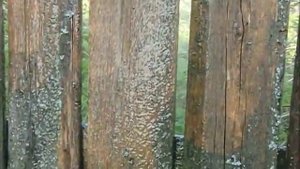 Мойка забора грязевой фрезой Karcher K 5.20 Plus