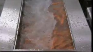 Машина для мойки овощей непрерывного действия Nilma Atirmatic