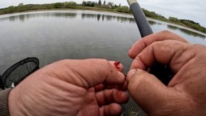 Три дня спортивного поплавка или сказ о том как  лещи Нормунда спасли, отчёт Но 233