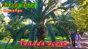 Осенний Адлер 2022. Прогулка по Молокова в октябре