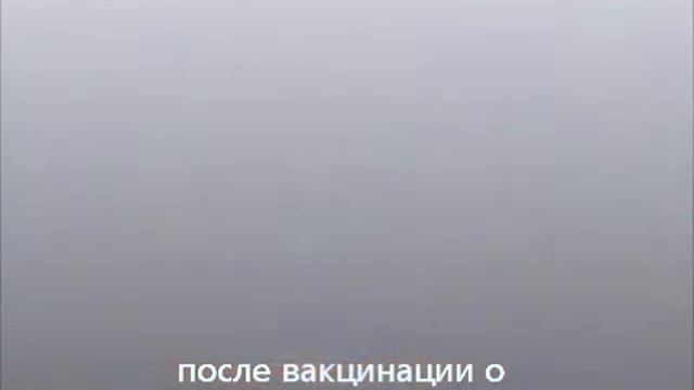 Декоративные карликовые кролики из Долины Ветров смотреть онлайн