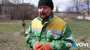 Немецкая овчарка.Кормление щенка.