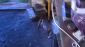 Масло вместо тосола. Часть 2