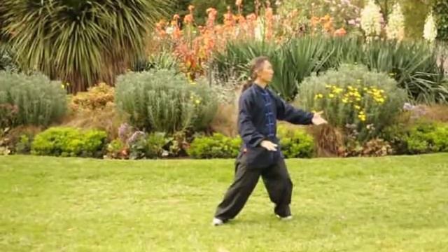 Qigong 18 Forms смотреть онлайн