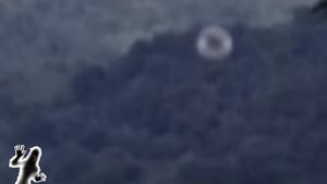 видео очевидцев НЛО над лесом. НЛО в лесу. Нло в городе. Реальное видео?