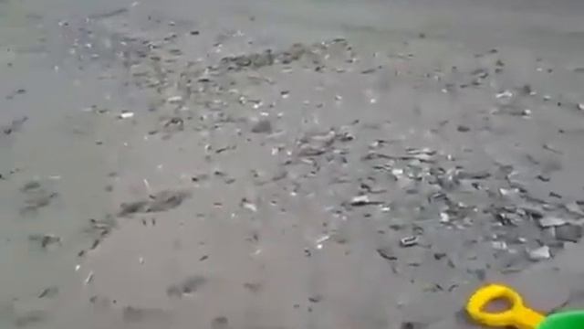 разделка рыбы смотреть онлайн