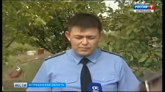 Об установке феромонных ловушек в Астрахани на наличие насекомых-вредителей смотреть онлайн