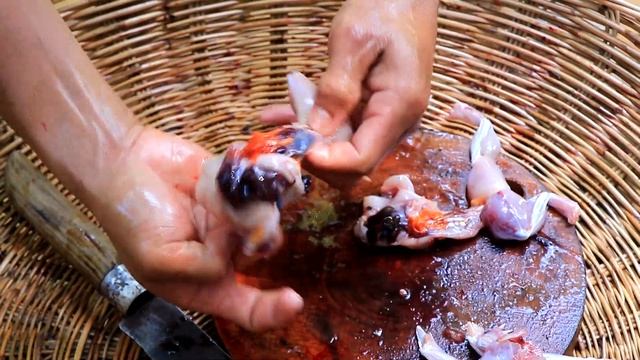 WOW INCREDIBLE! AMAZING COOK N GIANT FISH EGG WITH FROGS IN STOMATCH THEN COOKING FROG EAT DELICIOU смотреть онлайн