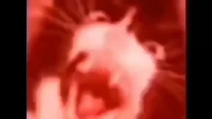 Кот орет(-уши)