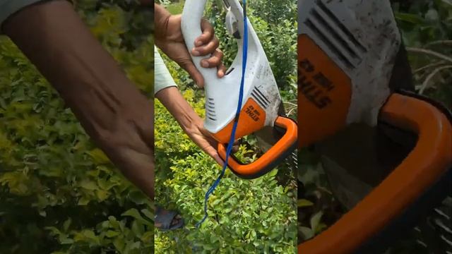 Hedge Trimmer ✂️ ✂️#microirrigation