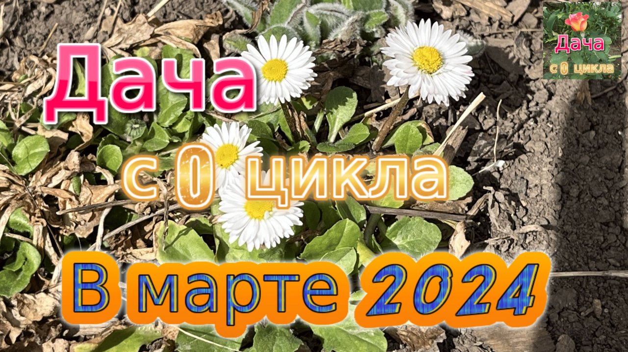 В марте 2024