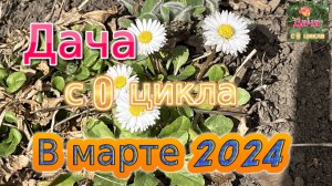 В марте 2024