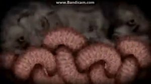 Cyriak Because Orchestral Arrangement