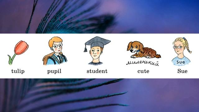 Rainbow English 2-2, Step 36, Английский язык 2 класс ч.2, Афанасьева.