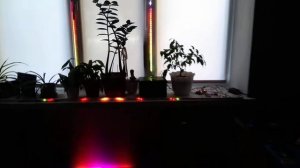 Цветомузыка на wd2812 и Arduino Stereo Vu meter.