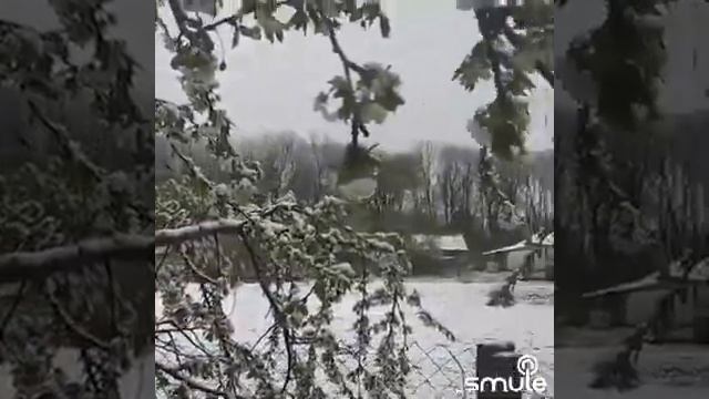 На белом покрывале января Дуэт cover karaoke Smule