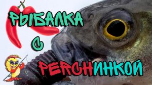 Рыбалка с perchинкой. ЛОВЛЯ ОКУНЯ на спиннинг в январе.