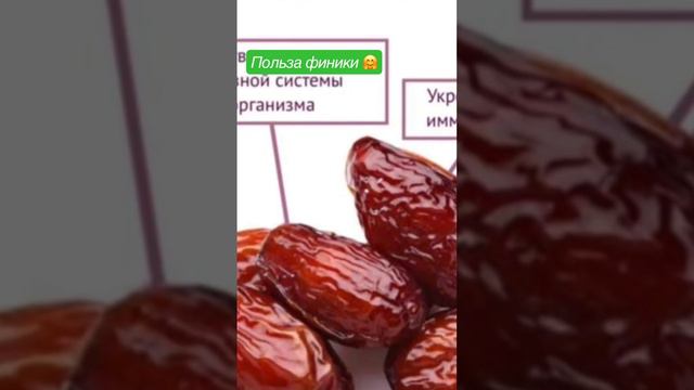 Многие людей едят финики, но они не знает польза и вреди  финики ….. #здоровьеотприроды