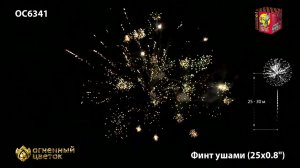 OC6341