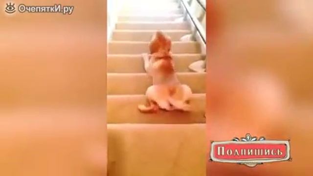 Если ребёнку запретить котатся с горки!! смотреть онлайн