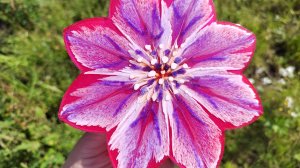 Создание подстаканника из эпоксидной смолы 🌺