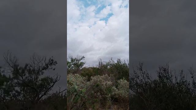 7/5/21 #1 Plateau to the Cage смотреть онлайн