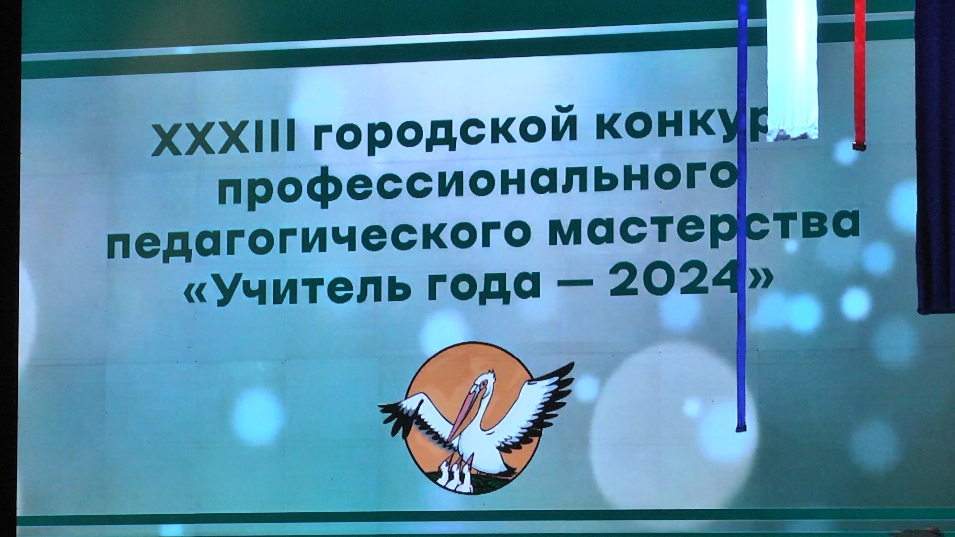 Выборы курган 2024