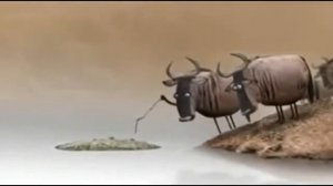 Tumsoq mashmashasi Multfilm uzbek tilida multik multfilmlar