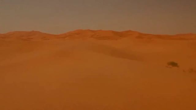 Животные пустыни ДОУ смотреть онлайн