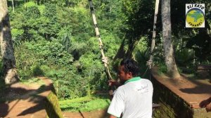 BALI SWING MENGUJI ADRENALIN DARI KETINGGIAN