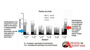 СОЛНЕЧНЫЙ УЛЕЙ   основы создания