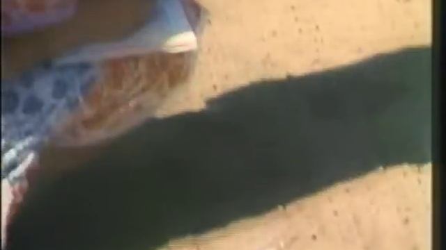 Silk Road II - Episode 13: Across the Karakum Desert смотреть онлайн