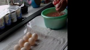 Инкубация мускусных уток