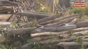 Просев гороха от мусора Потеряевка 2019 Игнатий Лапкин