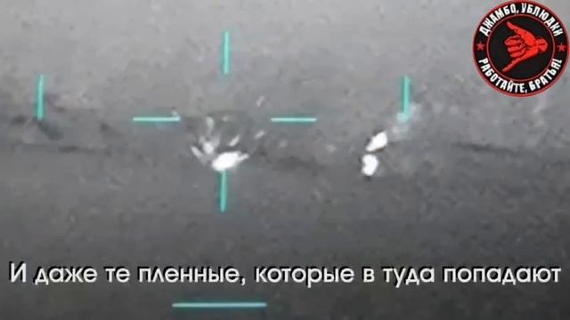 Настоящий ЛЕВ в жизни и на войне!