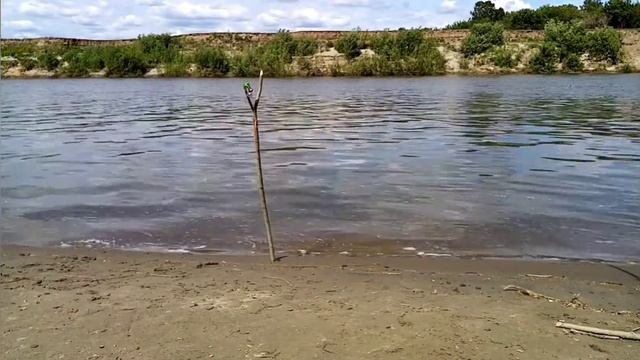 Рыбалка с обеда. Фидер и донки. Рыба разнообразная. Алтайский край река Чумыш.