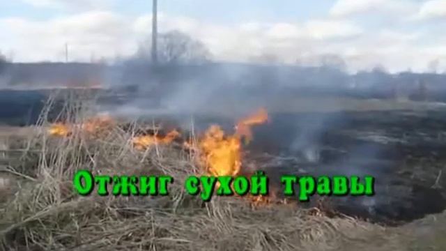 Пожароопасный период (ролик).avi смотреть онлайн