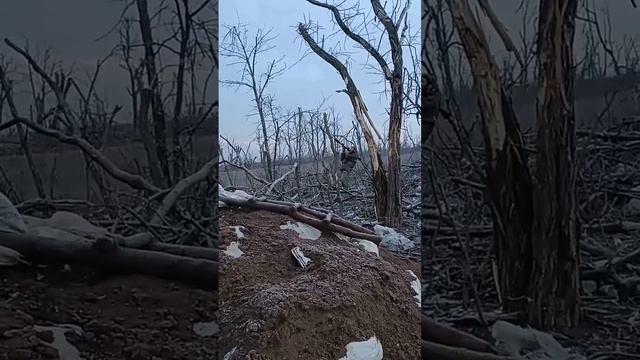 Кто за Россию 💪💪💪 лайк подписка