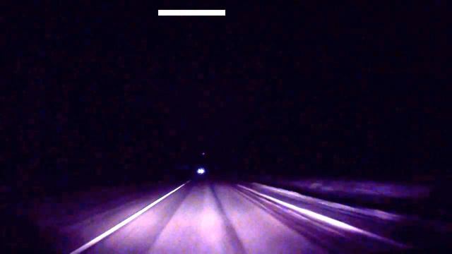 косуля на Байкальском тракте смотреть онлайн