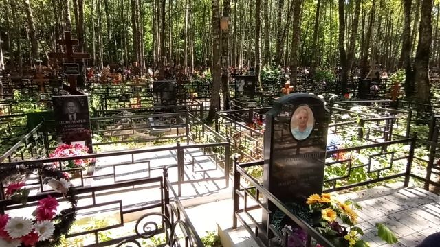 VID_20220702_125759.mp4